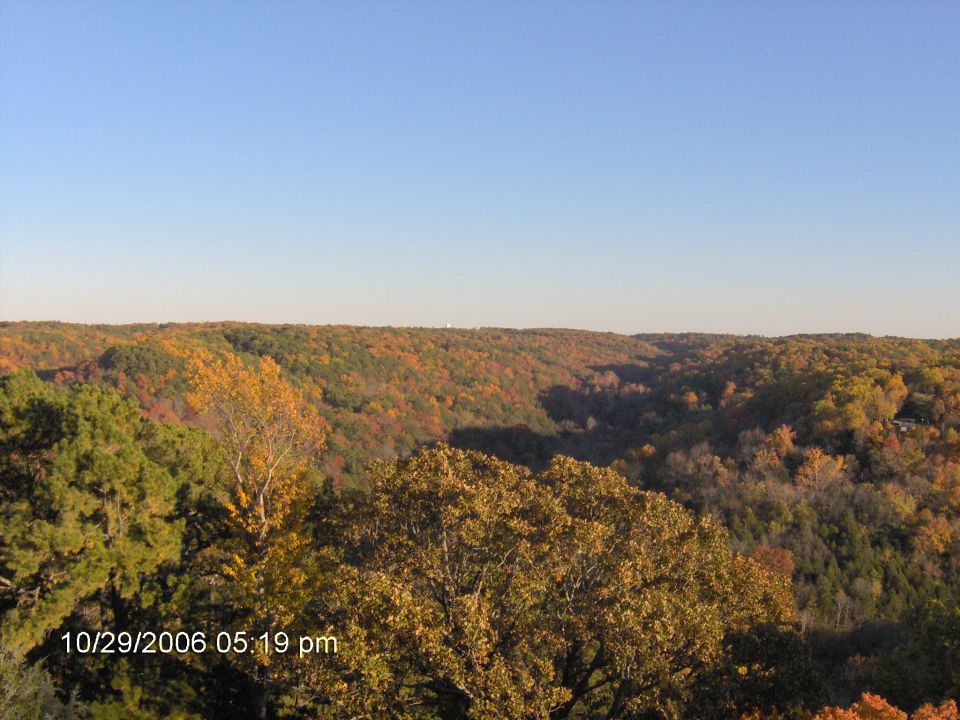 Landscape with trees in autumn colors under a clear blue sky, with a timestamp and website logo in the lower corners