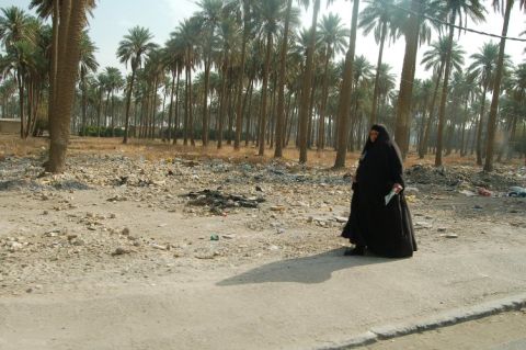 1996 Ford Bronco - A woman walks through a palm tree grove with debris scattered on the ground.