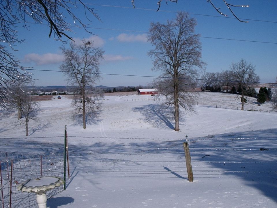Snowy field with bare trees and a red barn in the distance under a blue sky