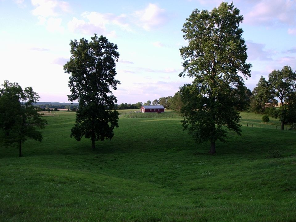 Green rolling hills with two large trees in the foreground and a red barn in the distance under a cloudy sky