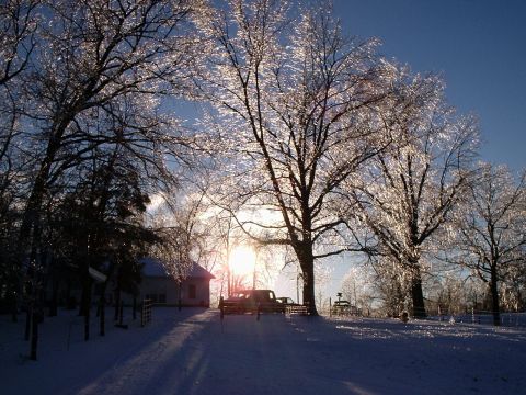 1996 Ford Bronco - Two trucks are visible in a snowy scene with ice-covered trees and a house in the background.