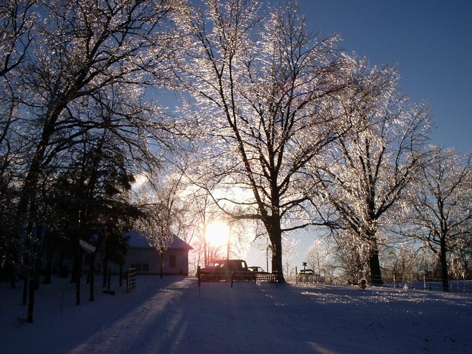 Two trucks parked in snow with ice-covered trees and a house
