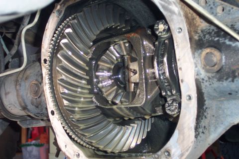1996 Ford Bronco - Close-up view of the internal components of a vehicle's differential, highlighting the gears and lubrication.