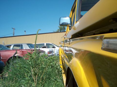 1979 Ford Bronco - Several vehicles are parked in a junkyard under a clear blue sky.
