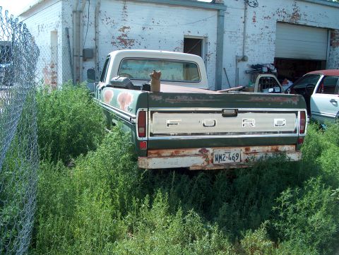 1979 Ford Bronco - This Ford pickup truck, likely from the late 1970s, is partially obscured by tall weeds in front of a weathered building.