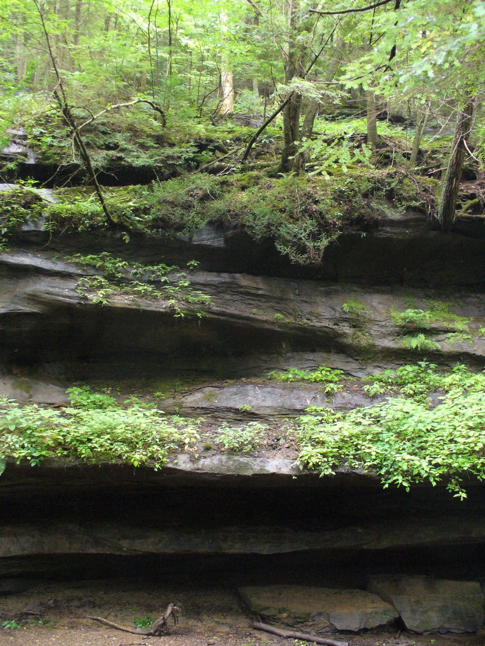 rocky cliff face with greenery and trees overhead, "SUPERMOTORS www.supermotors.net" logo in lower right