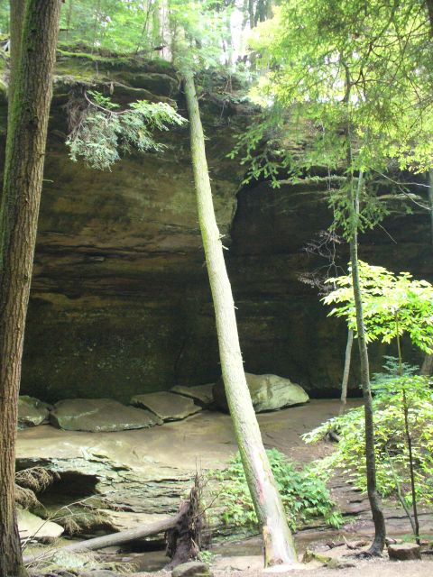 1991 Ford Probe - A natural rock formation in a wooded area with trees and foliage.