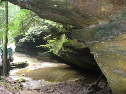 1991 Ford Probe - A natural scene rock formations, trees, and a small body of water.