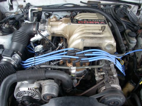 1991 Ford Mustang - Close-up view of a vehicle's engine bay, a 5.0 liter Cobra intake manifold and blue spark plug wires.