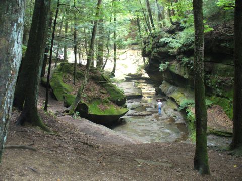 1991 Ford Probe - A person walks through a rocky creek bed in a lush, green forest. The Supermotors.net logo is visible in the lower right corner.