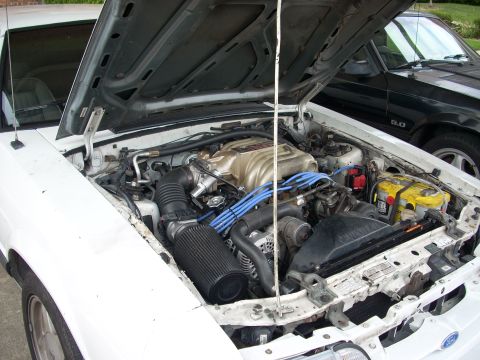 1991 Ford Mustang - Engine bay of a 1991 Ford Mustang, showing the V8 engine and other components.