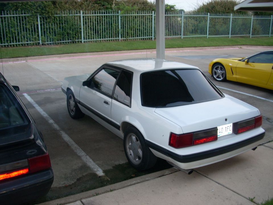 White 1991 Ford Mustang coupe, rear view, parked in a lot