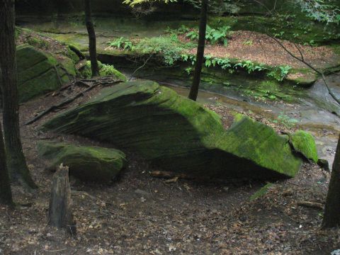 1991 Ford Probe - A natural scene of moss-covered rocks and trees along a flowing stream in a wooded area.