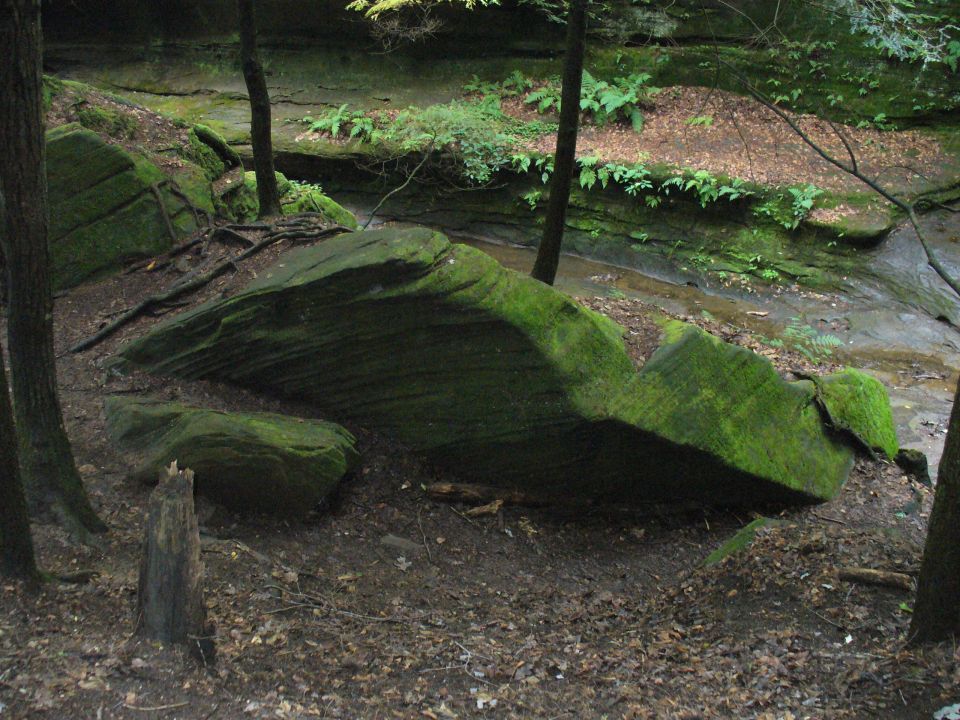Moss-covered rocks beside a forest stream