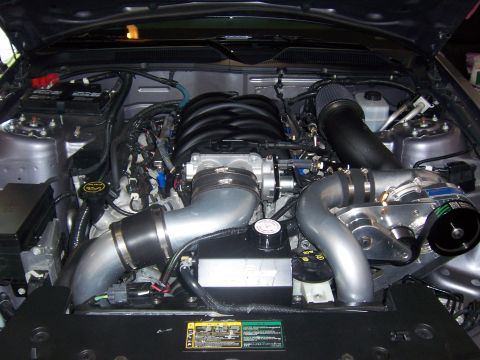 2006 Ford Mustang photo