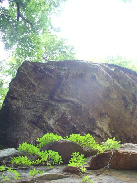 1991 Ford Probe - A large rock formation is surrounded by lush green foliage and trees, with sunlight filtering through the canopy.