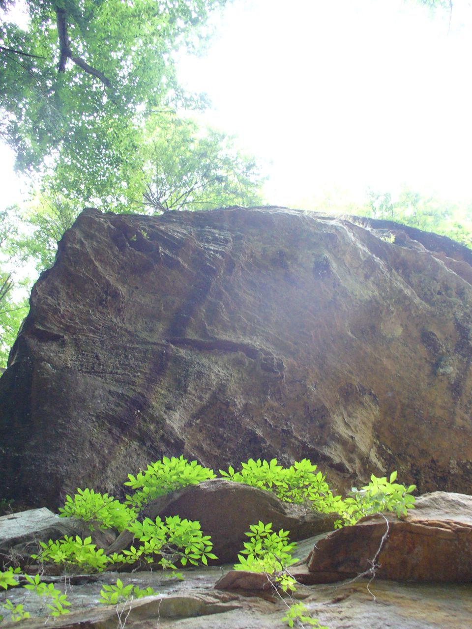 Rock formation with green foliage and trees overhead