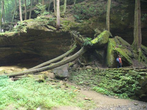 1991 Ford Probe - A person stands in a natural setting with moss-covered rocks and trees.
