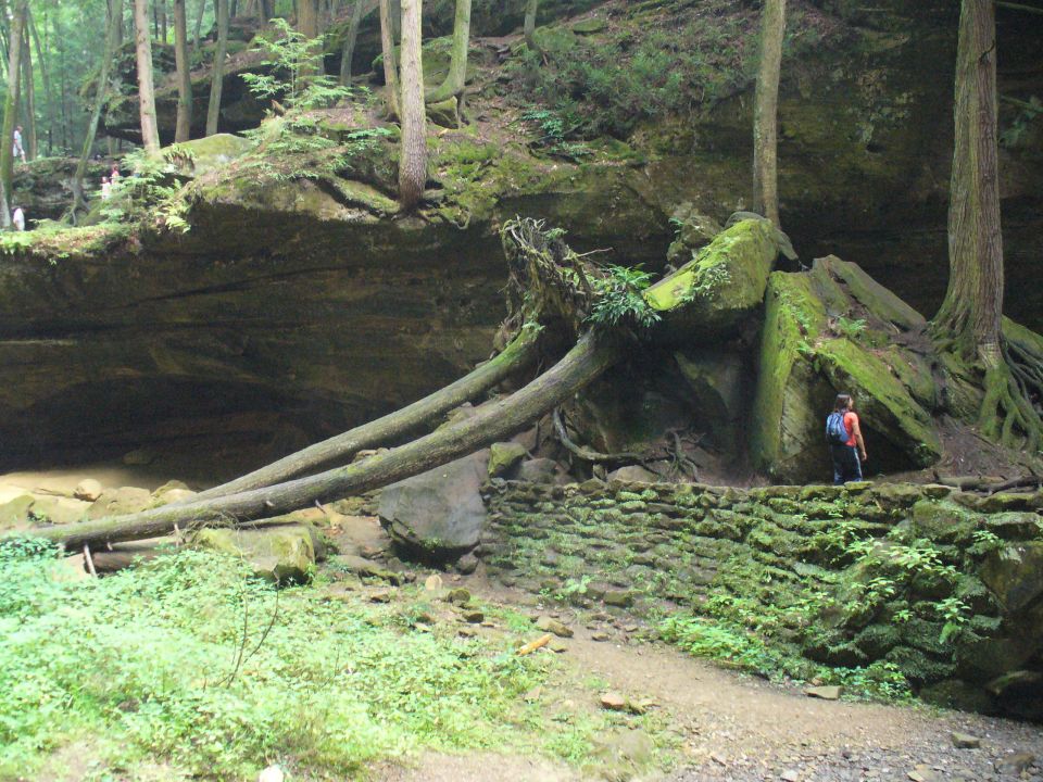 Person with a backpack stands near a stone wall in a wooded area with fallen trees