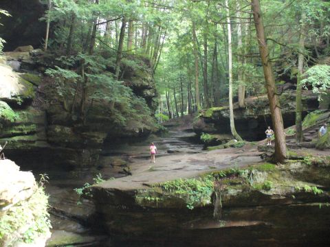 1991 Ford Probe - A scenic view of a forest canyon with a path and people exploring.