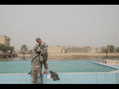 1996 Ford Bronco - Two soldiers are positioned near the edge of a swimming pool with a calm body of water in the background.
