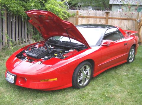 1996 Pontiac Firebird photo