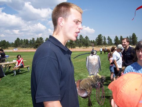 1972 Ford Ranchero - A man presents a falcon on his gloved hand at an outdoor event with other people and trees visible.