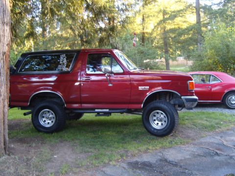 1989 Ford Bronco - Passenger-side profile of a lifted red Ford Bronco with a black hardtop parked on grass under evergreens, with 'BRONCO' badging on the fron…