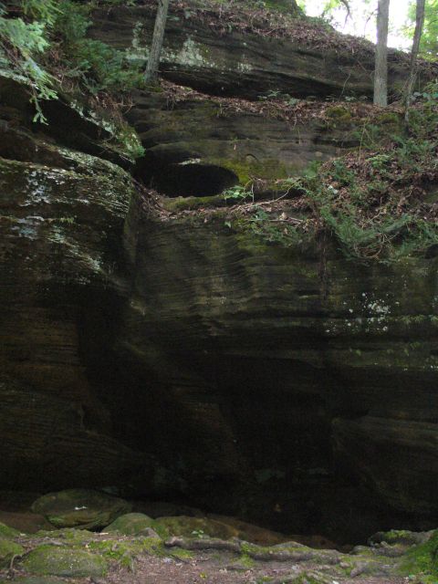 1991 Ford Probe - A natural rock formation with trees and moss covers the surfaces.