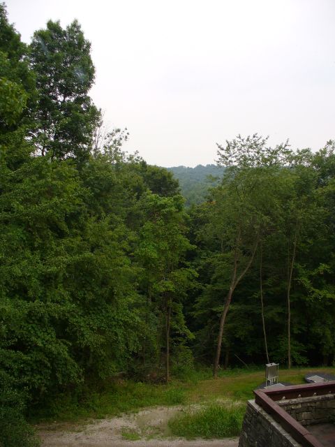 1991 Ford Probe - A view of a wooded hillside and a dirt path, with a small portion of a building visible in the lower right corner.