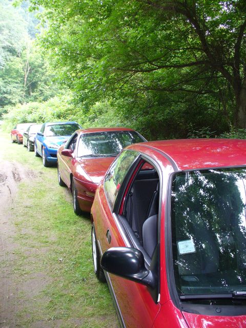 1991 Ford Probe - A line of cars are parked on a dirt road, surrounded by lush green trees.