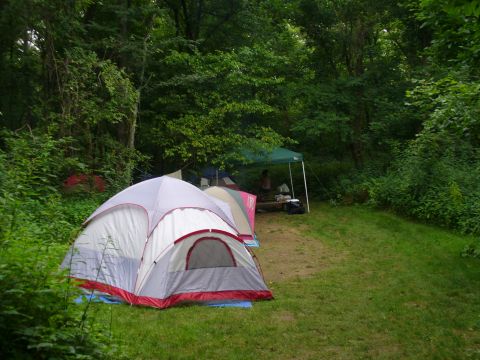 1991 Ford Probe - A campsite is set up with several tents pitched in a grassy area surrounded by trees.