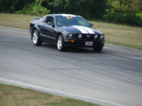 1993 Ford Taurus - A black Ford Mustang with racing stripes and the number 61 is seen on a paved track with grassy shoulders and trees in the background.