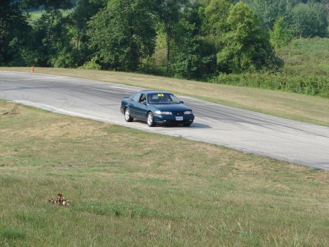1993 Ford Taurus - A dark green coupe, possibly a 1995 model, navigates a turn on a road course with trees in the background.