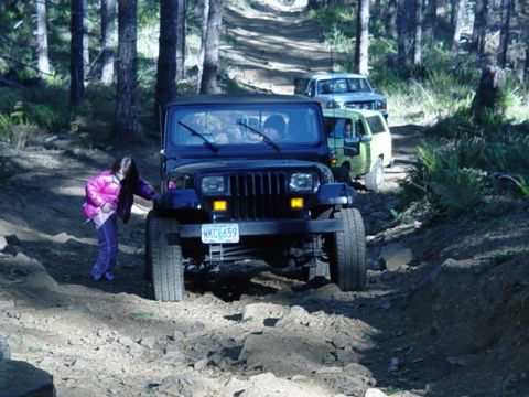 1989 Ford Bronco - Cariann had enough of the Jeep