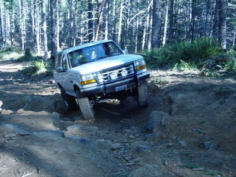 1989 Ford Bronco - Mark again