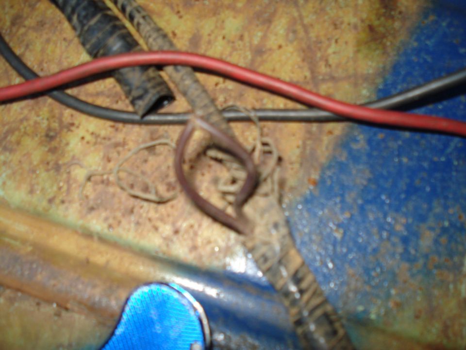 Close-up of a dirty automotive wiring harness with red and black wires
