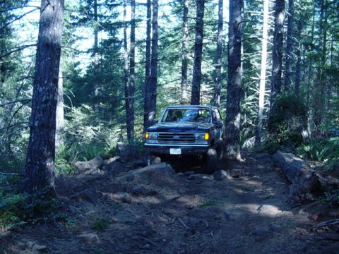 1989 Ford Bronco - And there it is