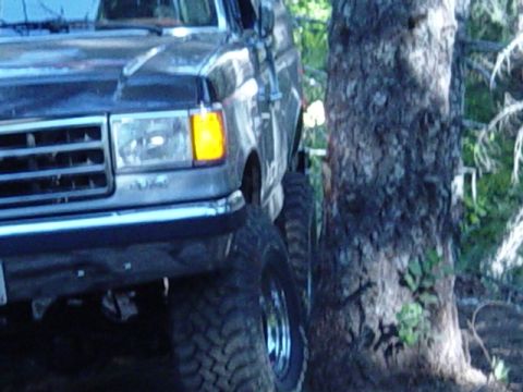 1989 Ford Bronco - Gotta get close to the tree