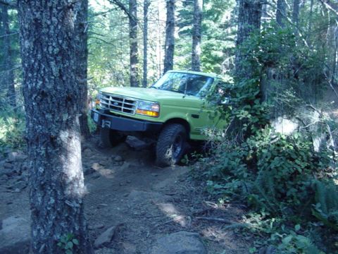 1989 Ford Bronco - Here comes Doug
