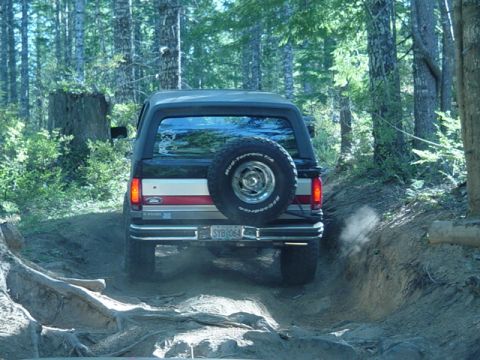 1989 Ford Bronco - Just got past some roots