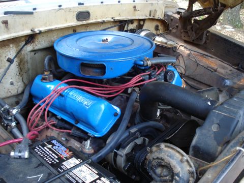 1967 Ford F-250 - Close-up of a blue Ford V8 engine, red spark plug wires and a blue air cleaner assembly.