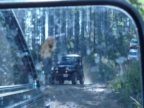 1989 Ford Bronco - Notice the mud from 4x4 wars on my mirror