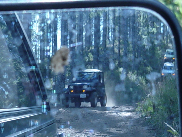 Notice the mud from 4x4 wars on my mirror