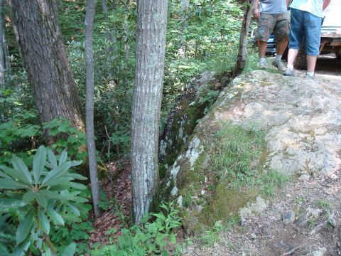 1995 Ford Bronco - A truck bed and tires are partially visible in a wooded area with two people standing nearby.