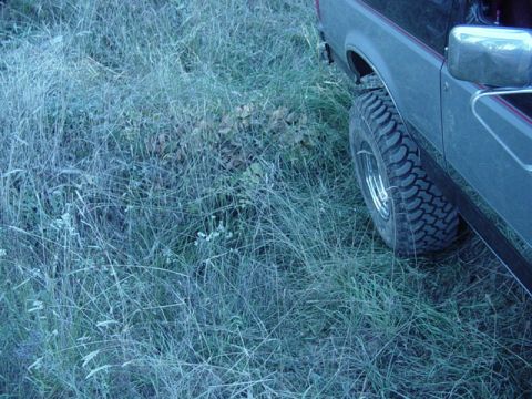 1989 Ford Bronco - Its hard to see, thats why i almost went in it