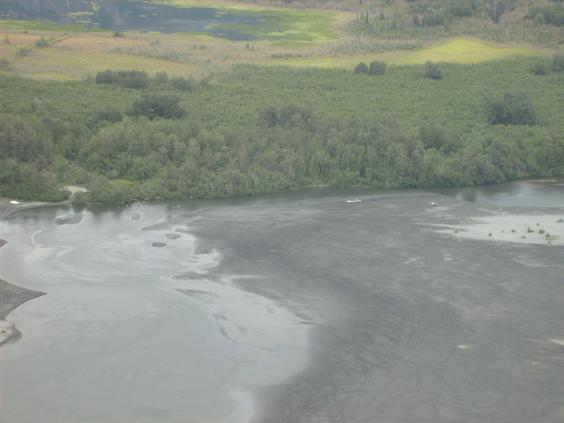 Aerial view of a body of water with dark swirling patterns, bordered by trees and a grassy field