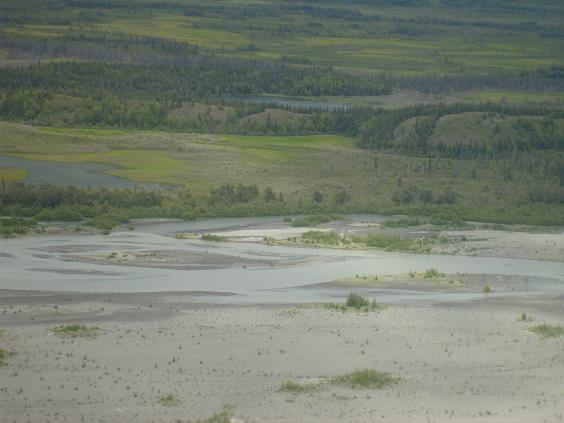 wide view of a river delta with green hills and trees in the background