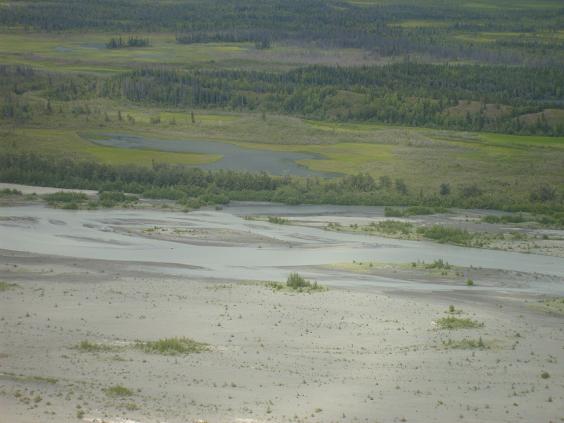 Wide river delta with sandy banks and green vegetation under a hazy sky