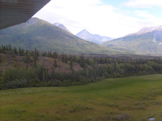 Mountain landscape with trees and grass, Supermotors.net logo